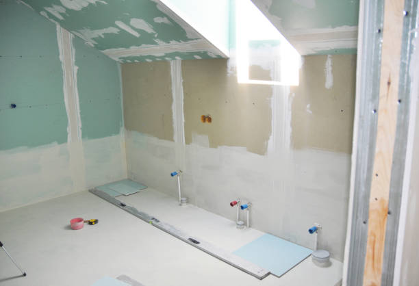 Best HVAC Mold Inspection and Cleaning  in Mount Morris, IL