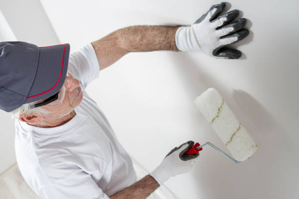 Best Emergency Mold Remediation  in Mount Morris, IL