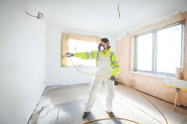 Best Basement Mold Removal  in Mount Morris, IL
