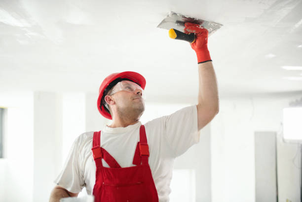 Best Mold Remediation for Healthcare Facilities  in Mount Morris, IL