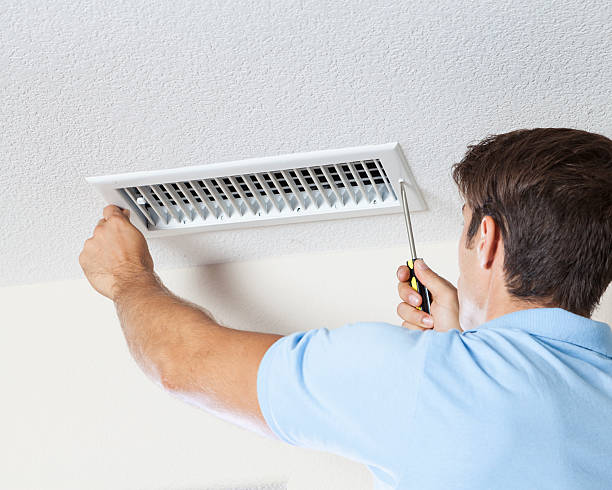 Best Mold Documentation for Insurance Claims  in Mount Morris, IL