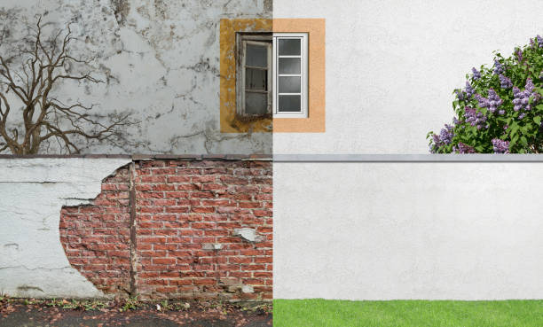 Best Comprehensive Air Testing for Mold Contaminants  in Mount Morris, IL