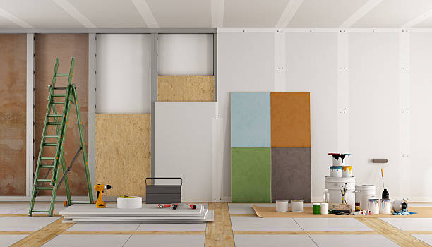 Best Commercial Mold Inspection  in Mount Morris, IL