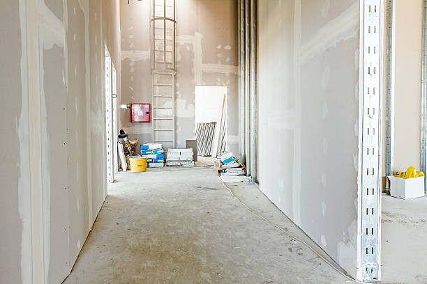 Best Mold Prevention Services  in Mount Morris, IL