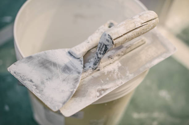 Best Post-Construction Mold Inspection  in Mount Morris, IL
