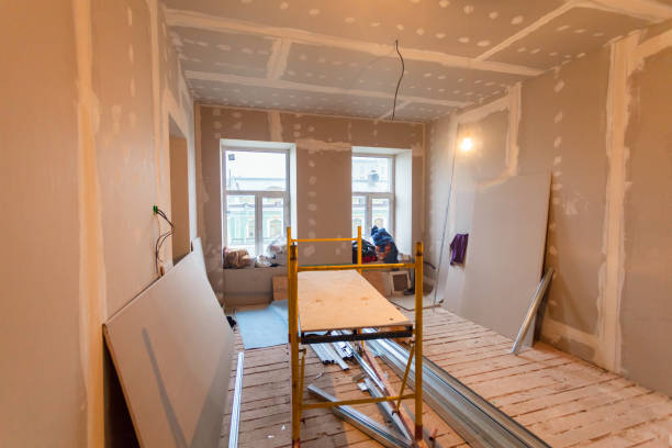 Best Environmental Consulting for Mold Prevention  in Mount Morris, IL