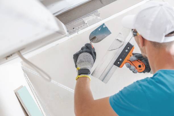 Reliable Mount Morris, IL Mold Removal Solutions